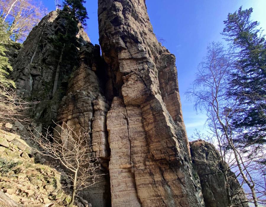 Ansicht von W